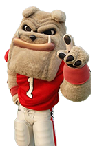 Hairy Dawg